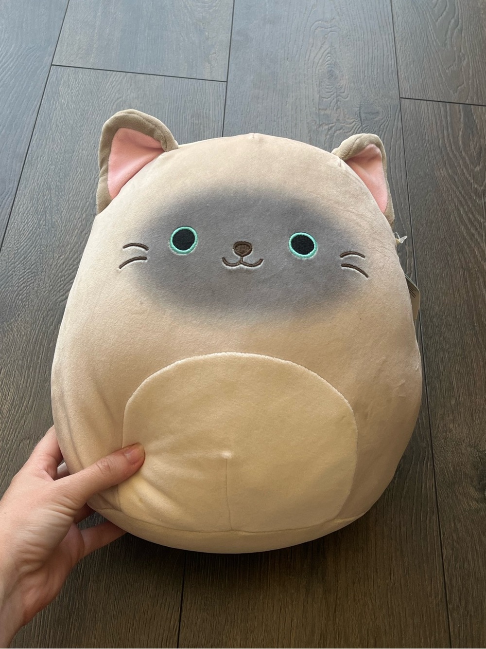 Squishmallows Cat Plush Stuffed Animal